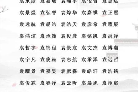 2019年3月25号申时出生的男孩起名方法姓名