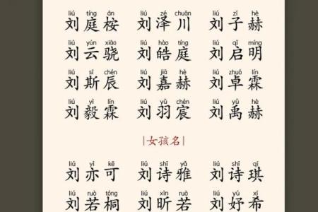 2019年3月17号子时出生的男孩要怎么起名字姓名