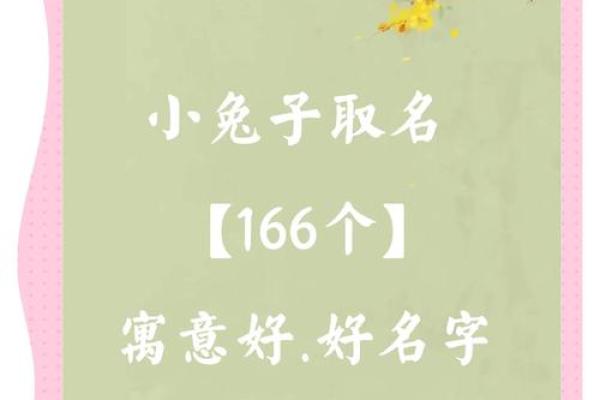 8月份出生的属兔男孩要怎样取名姓名