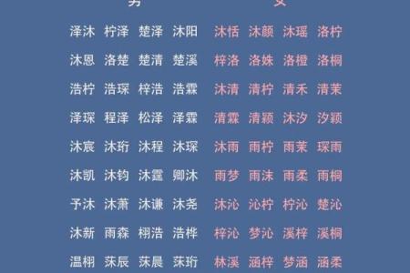 8月份出生的属兔男孩要怎样取名姓名