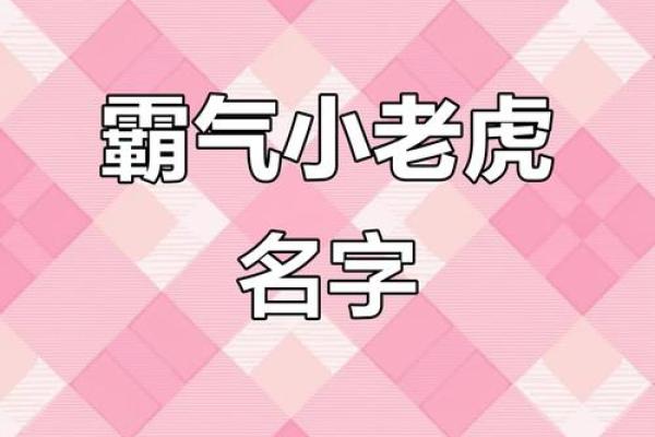 上午11点出生的属虎男孩起什么名，用什么字姓名