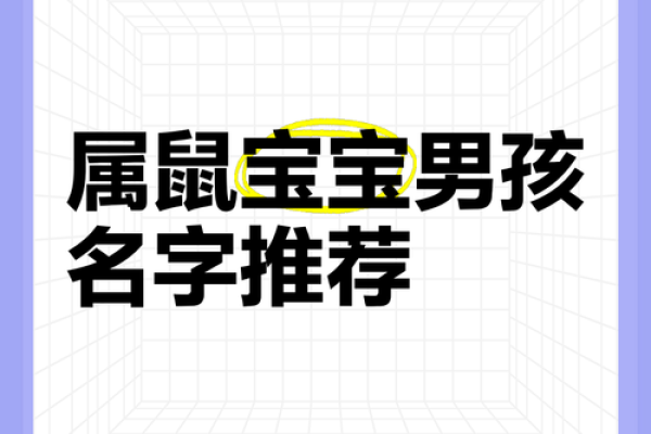 给晚上出生的属鼠男孩起名宜用什么字姓名