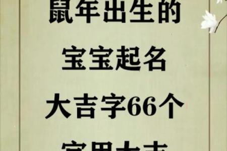 给晚上出生的属鼠男孩起名宜用什么字姓名