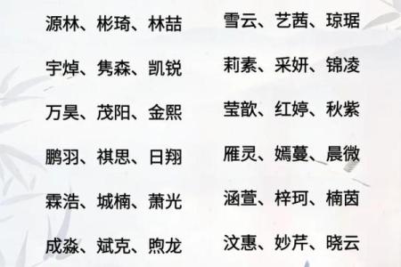 中午1点出生的属蛇男孩该如何起名，宜用什么字姓名