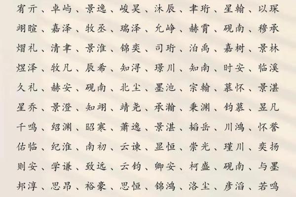 2019年3月16号午时出生的男孩要怎么起名字姓名