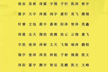2019年出生的姓于男孩如何起名，宜用什么字姓名