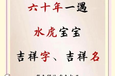 晚上10点出生的属虎适合男孩起什么名，用什么字姓名