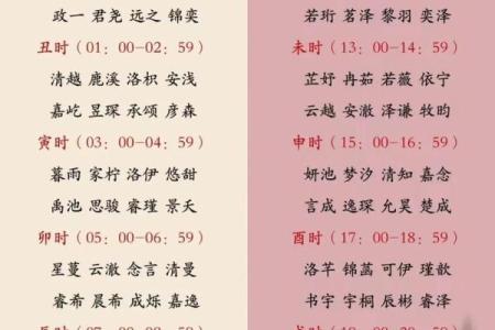 2019年3月20号午时出生的男孩起名方法姓名