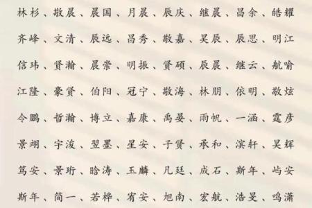 2019年3月25号寅时出生的男孩起名方法姓名