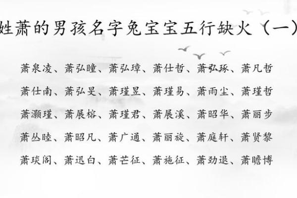 2019年4月23号子时出生的男孩如何起名姓名