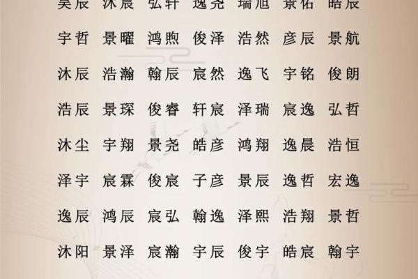属猪辰时出生的男孩如何取名字，宜用什么字姓名