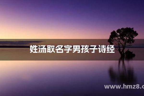 汤姓男孩名字大全-汤姓男孩起名字大全-汤姓名字大全姓名
