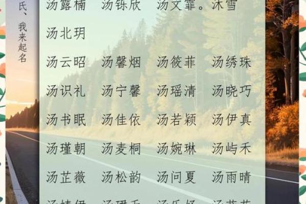 汤姓男孩名字大全-汤姓男孩起名字大全-汤姓名字大全姓名