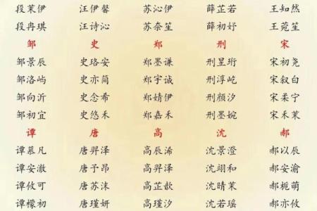 2019年3月31号辛时出生的男孩要怎么起名字姓名