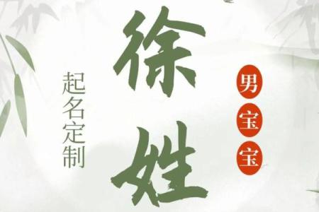 2019年出生的姓徐男孩如何起名，宜用什么字姓名