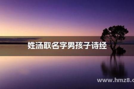 汤姓男孩名字大全-汤姓男孩起名字大全-汤姓名字大全姓名