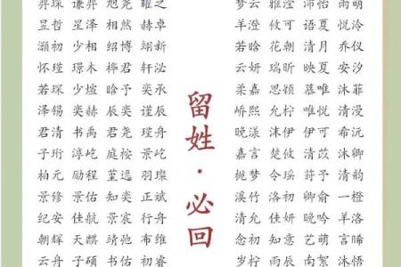 2019年3月28号申时出生的男孩如何起名姓名