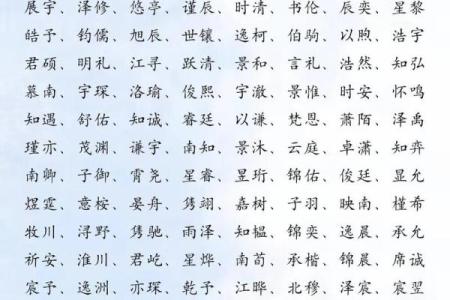 2019年5月31号寅时出生的男孩起名时要注意什么姓名