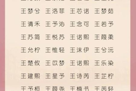 和姓女孩名字大全-和姓女孩起名字大全-和姓名字大全姓名