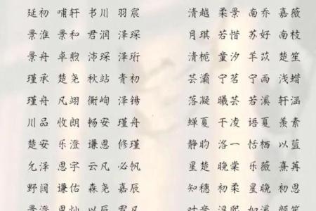 2019年4月12号卯时出生的男孩要怎么起名字姓名