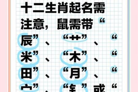 生肖起名需要注意什么-姓名学-华易网姓名