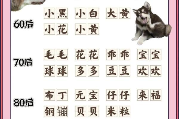 一月份出生的属狗男孩如何取名字姓名