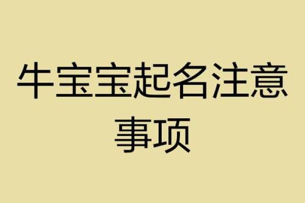 要如何给凌晨3点出生的属牛男孩取名字姓名
