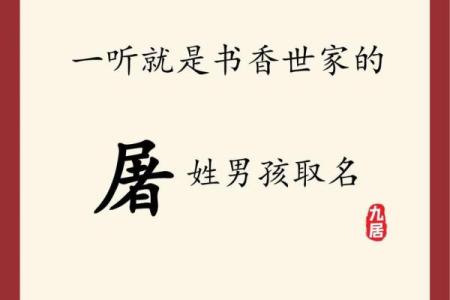姓申屠的名人-姓名学-华易算命网姓名