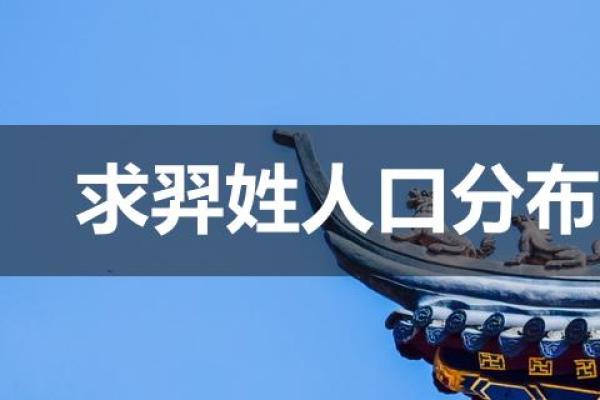 羿姓女孩名字大全-羿姓女孩起名字大全-羿姓名字大全姓名
