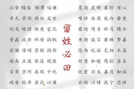 2019年5月29号卯时出生的男孩应该起什么样的名字姓名