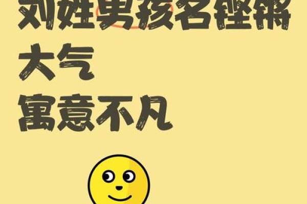 2019年出生的姓刘男孩如何起名，宜用什么字姓名