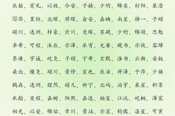 2019年3月17号未时出生的男孩应该起什么样的名字姓名