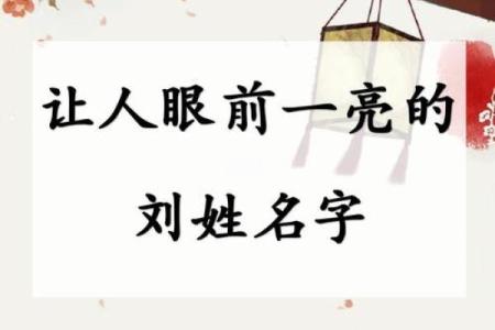 2019年出生的姓刘男孩如何起名，宜用什么字姓名