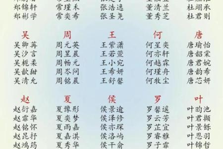 2019年3月17号午时出生的男孩应该起什么样的名字姓名