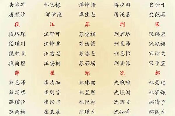 属蛇午时出生的男孩要怎么起名，适合哪些字姓名