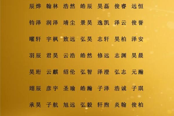 2019年5月17号丑时出生的男孩应该起什么样的名字姓名
