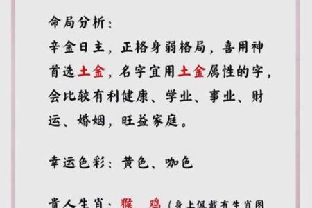 属蛇午时出生的男孩要怎么起名，适合哪些字姓名