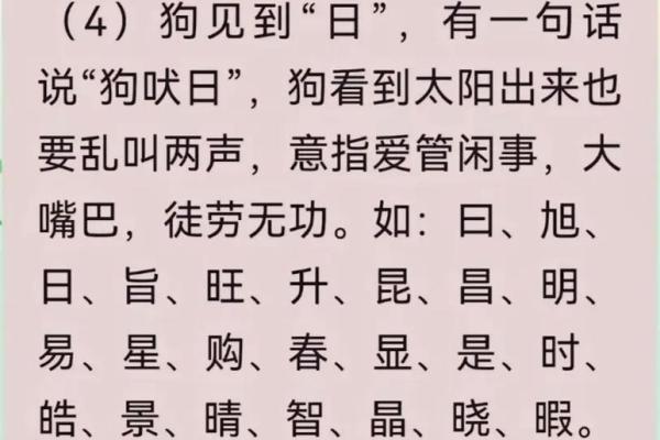 早上出生的属狗男孩怎么取名 ，宜用什么字姓名