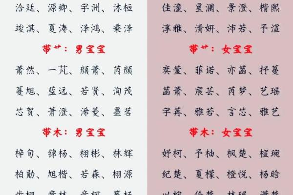 如何给亥时出生的属兔男孩起名最好姓名