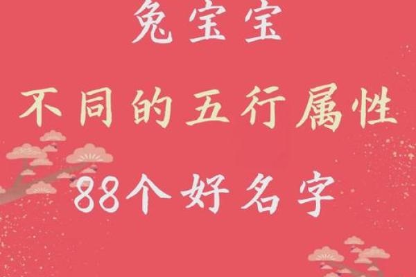 2月份出生的属兔女孩起什么名字好姓名