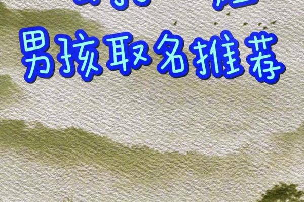 2019年4月13号寅时出生的男孩应该起什么样的名字姓名