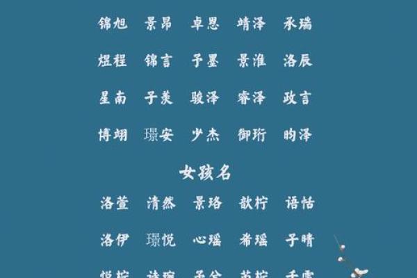 兔年男孩子起名字大全-兔年起名字姓名