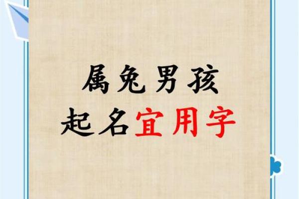 兔年男孩子起名字大全-兔年起名字姓名