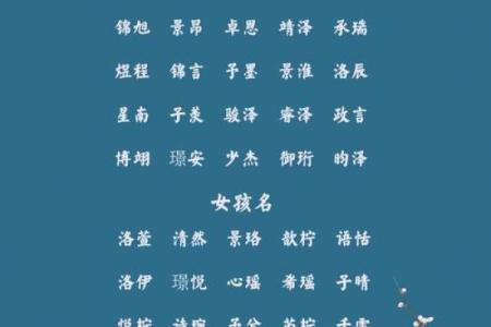 兔年男孩子起名字大全-兔年起名字姓名