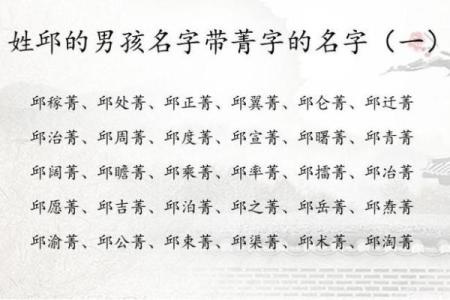 中午1点出生的属羊男孩如何起名，用什么字姓名
