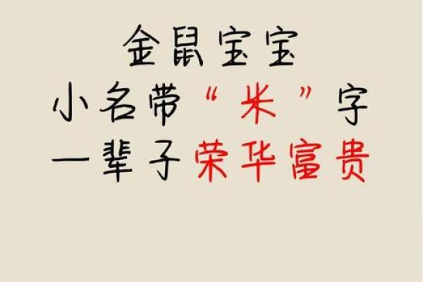 凌晨4点出生的属鼠男孩怎么样取名字姓名