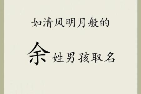 2019年3月29号巳时出生的男孩起名时要注意什么姓名