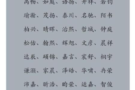2019年4月19号子时出生的男孩要怎么起名字姓名
