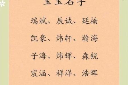 2019年4月27号丑时出生的男孩起名方法姓名