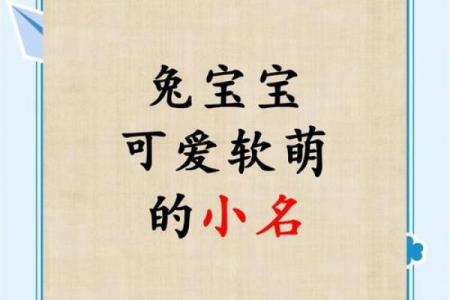 3月份出生的属兔男孩适合取什么名字姓名